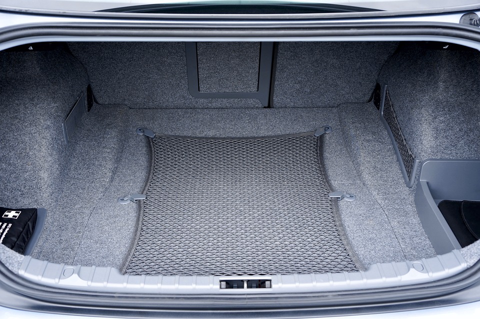 trunk 2464979 960 720