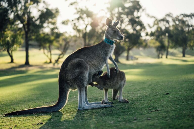 10 neuvěřitelných památek UNESCO v Austrálii, které musíte vidět!