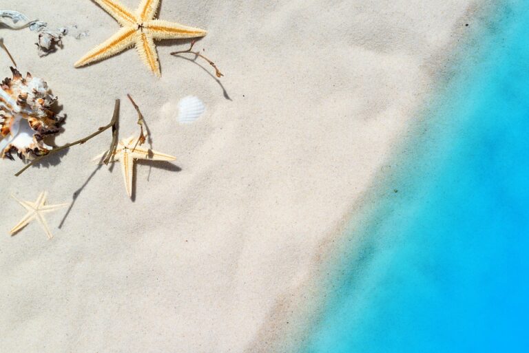 Nejlepší doba na návštěvu Zanzibaru: Objevte ideální čas pro svou dovolenou!