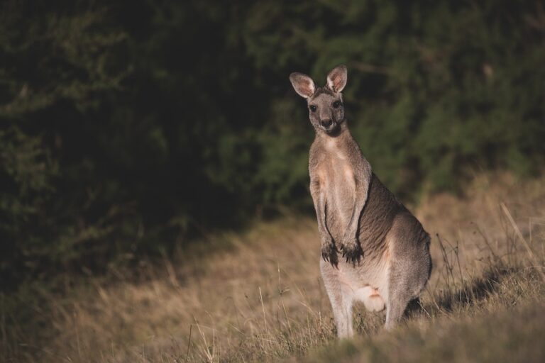 10 úžasných míst, která musíte vidět při návštěvě Austrálie!
