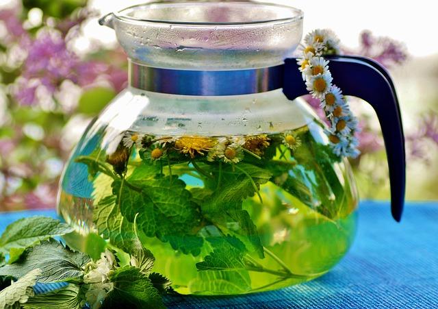 Řecký horský čaj Wikipedie: Vše, co potřebujete vědět o tomto léčivém nápoji