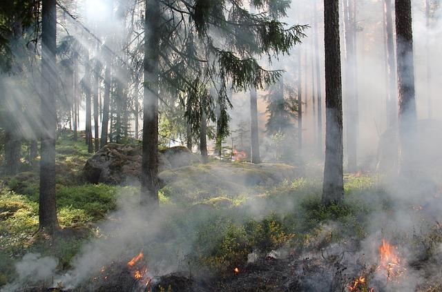 Jak se chránit před lesními požáry v Řecku?