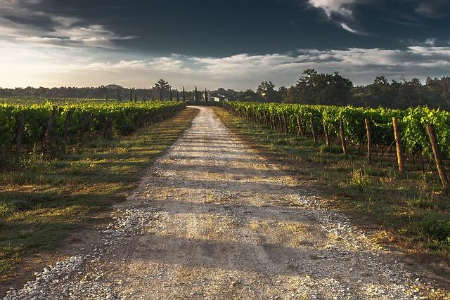 Uvolňující pobyt v Toskánských vinicích: nejlepší místa k odpočinku a ochutnávání vína