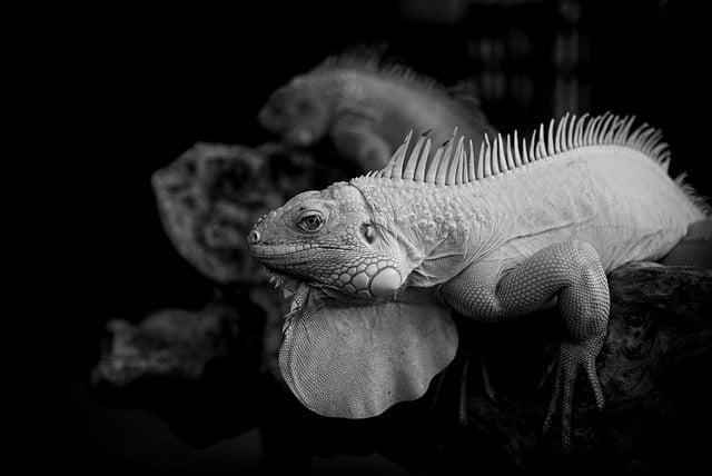 g1ae18cebab68bc3173212383f9ab0469caec8086d6f0deb11c96b4e7dc1e09e0a483d58dc4a83dd6ca95e2e6708d267523b60bf2e81615d5f7dbf20e841b8364 640