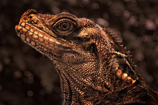 Jak si užít exotické pláže v Thajsku bez velkých nákladů