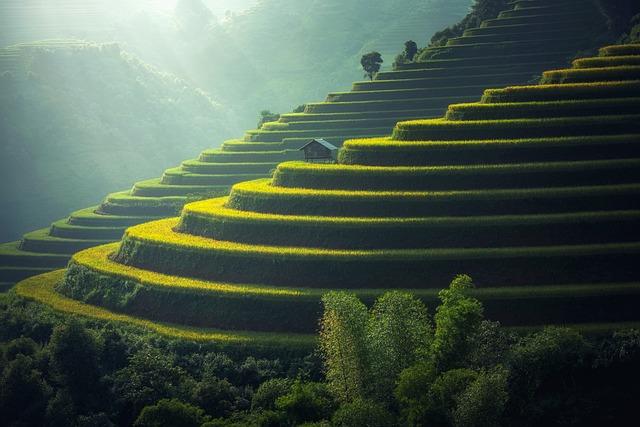 Exploring the Stunning Beaches of Bali