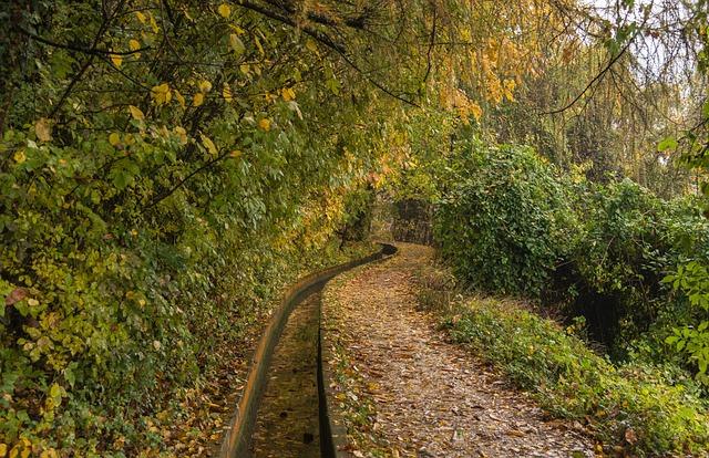 Způsoby, jak minimalizovat náklady na telefonování do Itálie