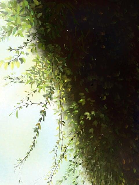 Jak si užít výhledy a zábavu na palubě trajektu