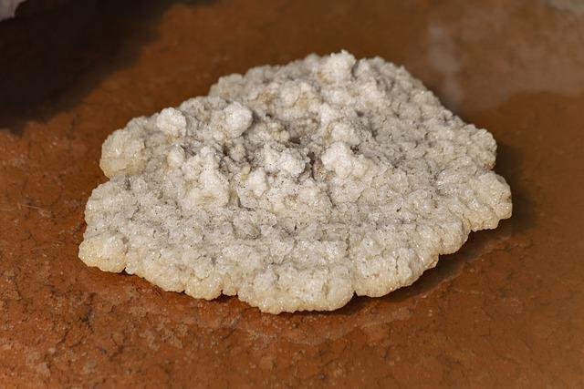 Kvalita materiálů: Co byste měli hledat při výběru lehátka