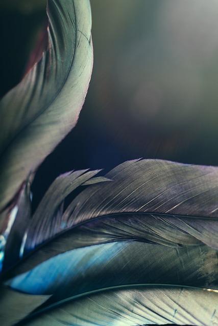 Tajemné Doby a Nejnovější Technologie: V Polských Unikových Hrách