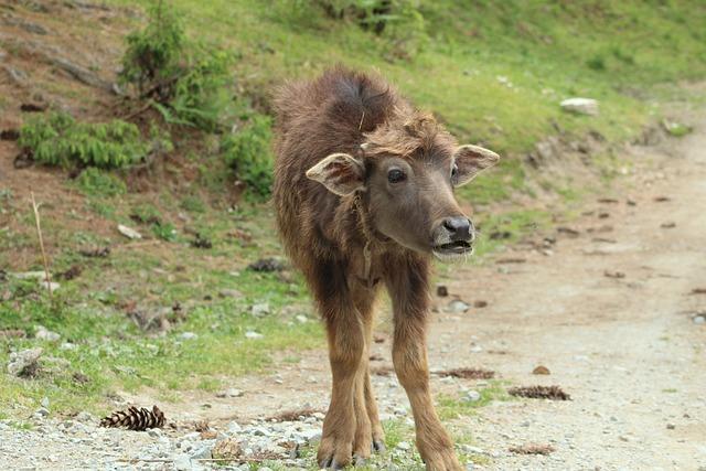 Nejkrásnější polská ženská jména pro vaši princeznu
