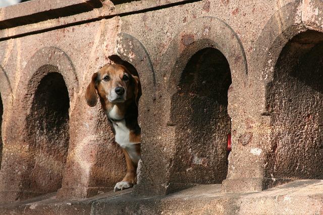 Jak se pobytová taxa v Itálii platí a kde ji můžete vyřídit?
