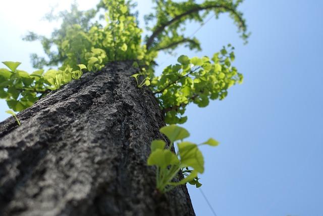 Jak využít slunečné dny v Itálii během jara