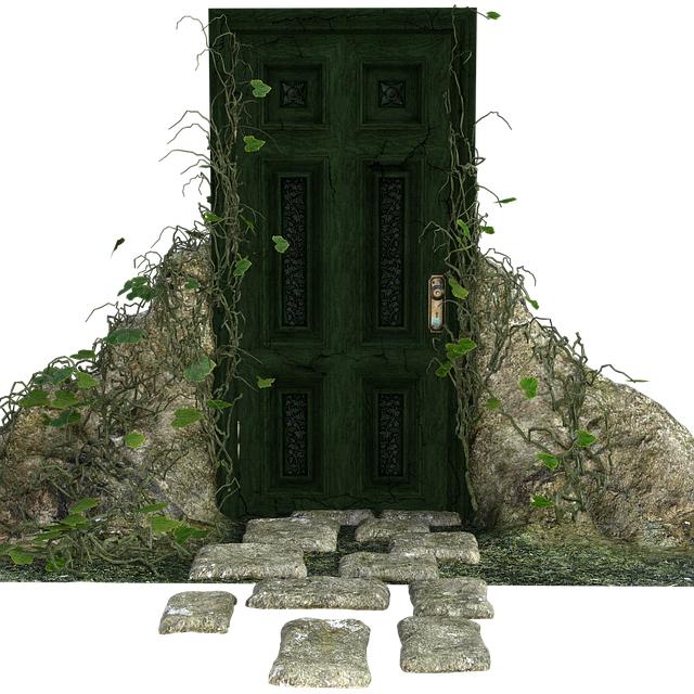 Klíčové kroky při výběru spolehlivého prodejce vozu