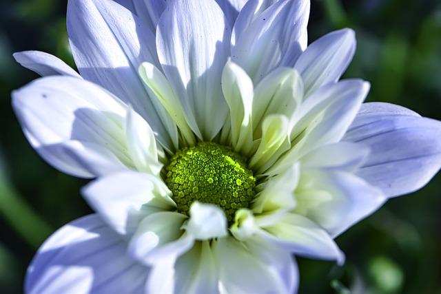 Skvělá nabídka atrakcí pro malé i velké návštěvníky