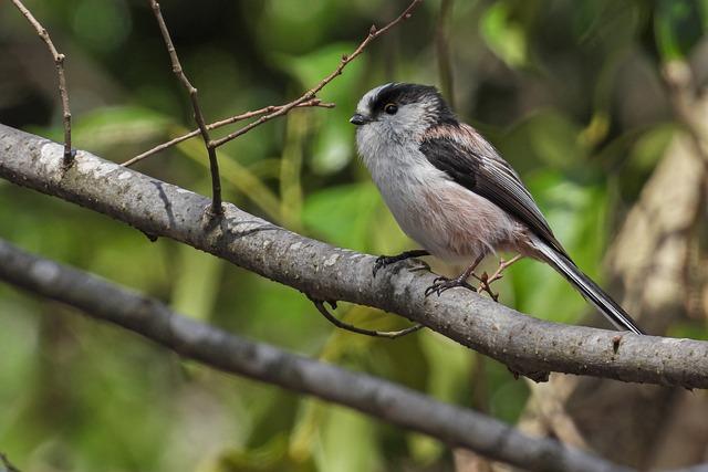 Průvodce postupem hledání vlastníka nemovitosti