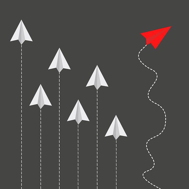 Rozdíl mezi vízem na příjezdovém letišti a elektronickým vízem