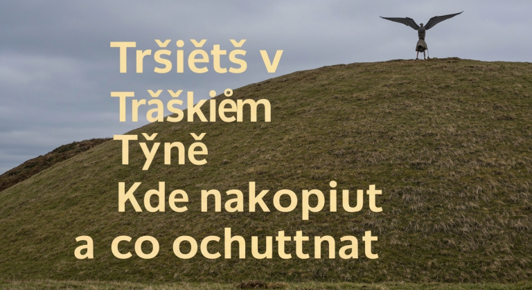 Malé Tržiště v Polském Těšíně: Kde nakoupit a co ochutnat? | 2026