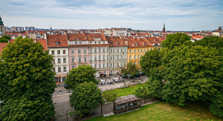 Kam v Polsku Se Psem: Pet-Friendly Místa a Aktivity! | 2026