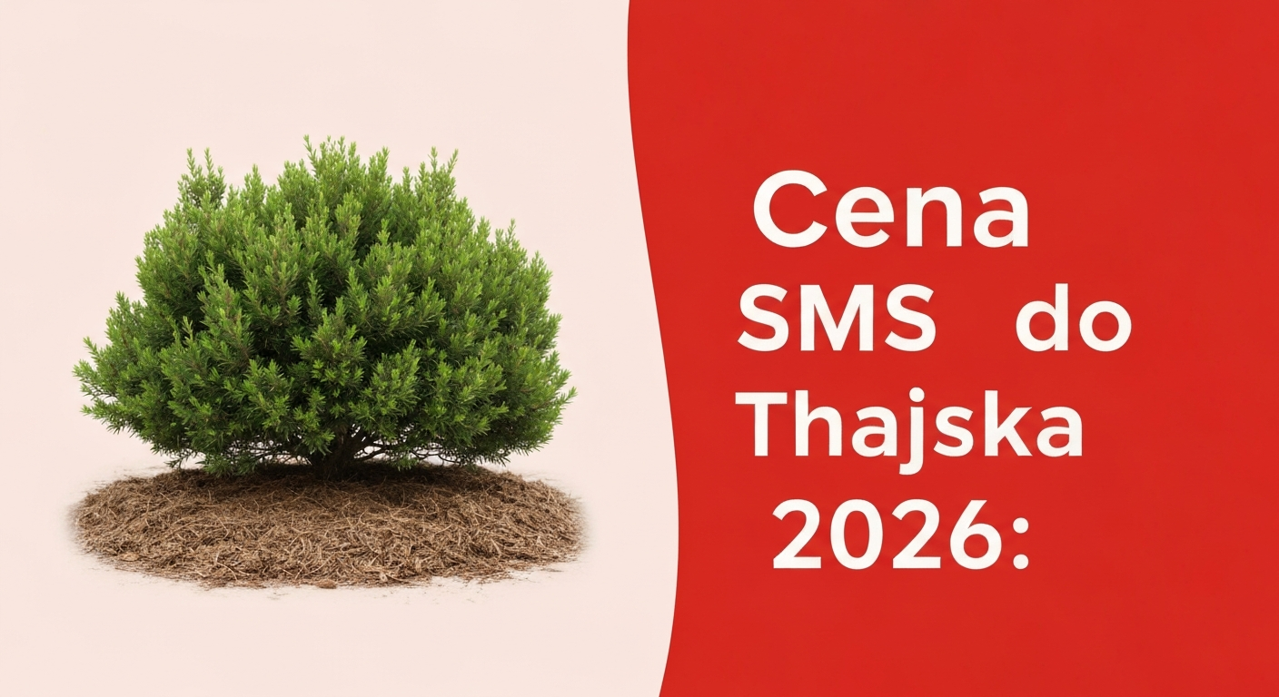Cena SMS do Thajska 2026: Jak komunikovat levně a efektivně | 2026