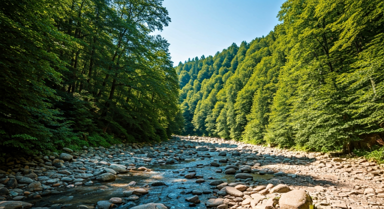 10 nejdůležitějších věcí, které nesmíte zapomenout vzít na dovolenou do Bulharska | 2026